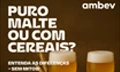 Preview do projeto AMBEV